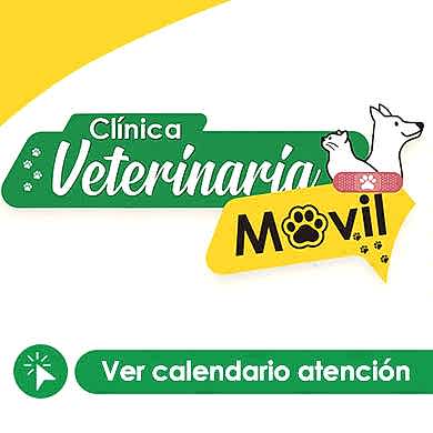 veterinaria_movil_bloque